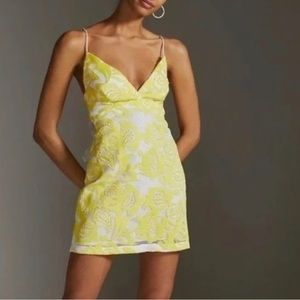 NWT Anthropologie Maeve Lace dress